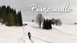 Passeggiata delle Malghe -  Piancavallo (PN)