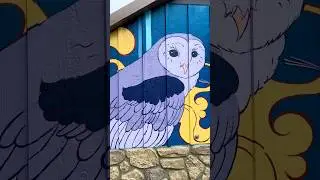 Mural Wall Transformation | Richmond, BC 2025 🦉
