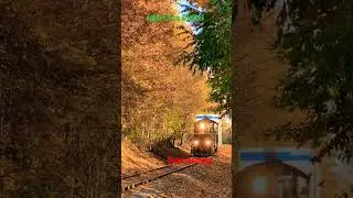 Morning meditation sound! beautiful Nature videos!#morning #morningmotivation #naturelovers #travel