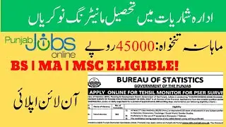 Tehsil Monitor Jobs 2025 in Punjab | Bureau of Statistics Jobs | Latest Jobs in Punjab