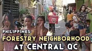 AMAZING FORESTRY NEIGHBORHOOD In CENTRAL COMMUNITY | FEEL The LIVELY SPIRIT Of NATURE IN QC [4k] 🇵🇭