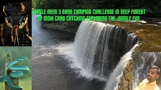 Jungle Mein  3 Days Camping Challenge in deep Forest of India Crab catching exploring the jungle fun