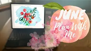 Plan With Me I June 2022 Online Journal