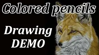 FOX drawing demo // PRISMACOLOR PREMIER colored pencils on BLACK PAPER
