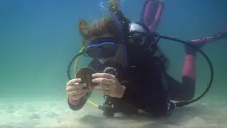 Beginner diving at the jetties in Destin-Fort Walton Beach