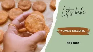 Dog treats | Homemade | Biscuits | Easy DIY Recipe |#dog #baking #biscuit #dogtreats #diy