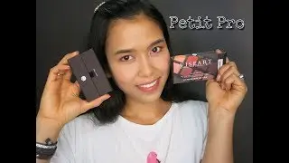 Viseart Petit Pro 2 First Impressions/Demo
