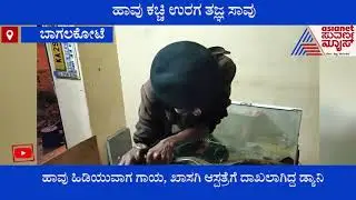 Snake Catcher Daniel Newton Died After Snake Bite In Bagalkot