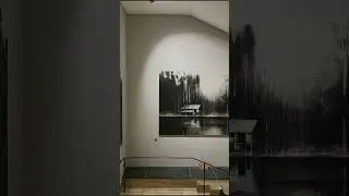 Selvas Negras n&deg;3| Calo Carratal&aacute;