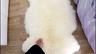 Genuine Sheepskin Rug Area (2x3 ft) Ivory