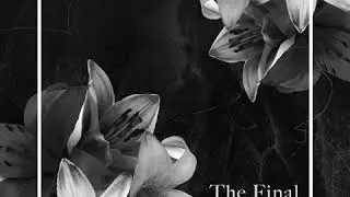 Daygraves - The Final Empire
