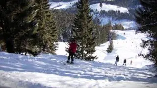 Doppelmayr Schlepplifte (2010)