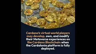 Cardano Metaverse Project Cardalonia Releases Staking Platform.