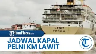 Jadwal Kapal Pelni KM Lawit Hingga 25 Desember 2025: Lewat Semarang, Kumai, Sampit, Surabaya