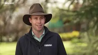 KOORINGAL STUD - MERCHANT NAVY, FINANCE TYCOON - BRED TO WIN EP 8 2023