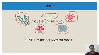 Agentes causadores de doenças - Vírus - 7 ANO