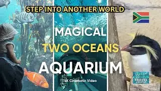Inside Cape Town&rsquo;s Two Oceans Aquarium | Ultimate Walkthrough ✨🇿🇦