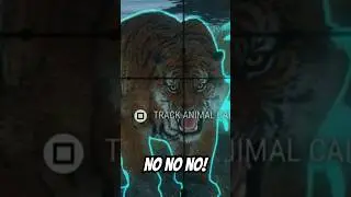 НЕТ НЕТ НЕТ!!! Даймонд Тайгер СУМАСШЕДШИЙ!!! TheHunter:Call of the Wild