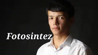 Fotosintez | assimilyatsiya jarayoni