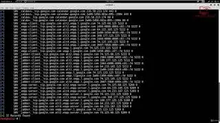 [Penetration Testing] DNSRecon