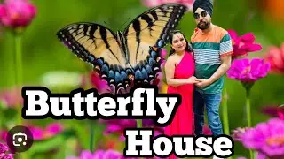 Butterfly House 🦋 | Ashton Memorial Gardens | Williamson Park |  Tourist Attraction