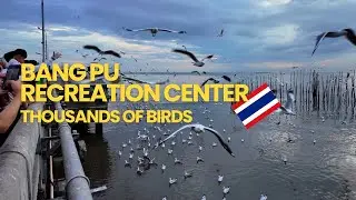 Bang Pu Recreation Center - A Coastal Escape Near Bangkok