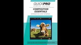 Fundamentals of Digital Photography - Composition 1