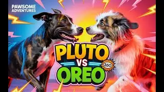 Street Dog Pluto vs Oreo: The Ultimate Showdown