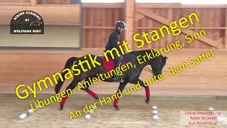 S11 Stangenarbeit an der Hand und unter dem Sattel, Abst&auml;nde, Linien, &Uuml;bungen, Gymnastik f&uuml;r Pferde