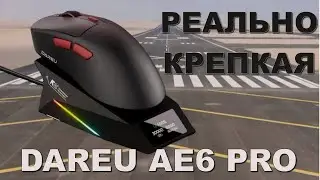 Dareu AE6PRO - большая и крепкая мышь. НО есть нюанс...
