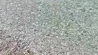 Dh&euml;rmi 28/6/2022