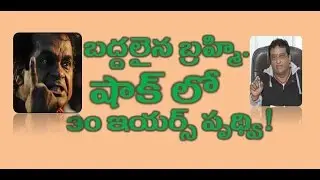 Brahmanandam Ultimate Counter To 30 Years Prudvi |