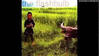 The Flashbulb - You take the world's weight away