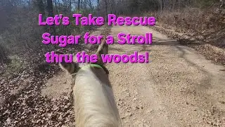 First RIDE off Property with Rescue Horse Sugar