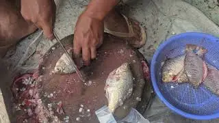 Prepping Fish