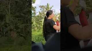 jualan sayur pondokrejo pos 8
