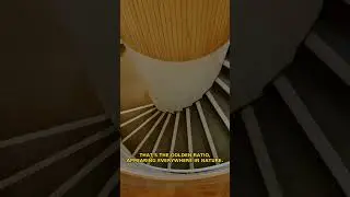 Nobody knows why spiral staircases feel so perfect 🤯