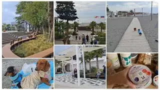 ЯНВАРСКИЙ ДЕНЬ В СОЧИ/СЧАСТЛИВЫЕ СОБАКИ НА МОРЕ/ПОЧЕМУ БЫ И НЕТ/ДОСТАВКА ИЗ ВКУСВИЛЛА