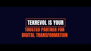 The TekRevol Experience | What We Do