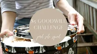 Fall $5 GOODWILL CHALLENGE, with Hilary from Old World Home