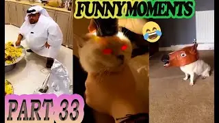 IF YOU LAUGH YOU LOSE😂 FUNNY VIDEO COMPILATION🤣 PART 33🎯