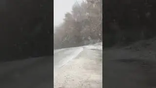 NEVE 22/11/2025
