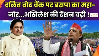 BSP Targets Dalit Vote Bank: BSP's emphasis on Dalit vote bank, BSP rally creates stir.