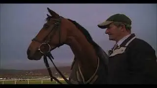 Horses Trailer