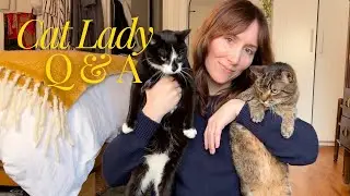 Answering Your Questions About Cats, Cat Lady Home Tours & Life