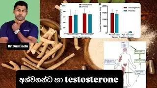අශ්වගන්ධ වල ස්වබාවික testosterone ඉහල යැවීමේ හැකියාව හා natural test boosters ගැන කෙටියෙන්