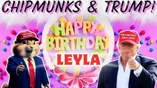 LEYLA Happy Birthday Song  |  CHIPMUNKS & TRUMP Version