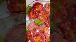 Memorial Flower Preservation