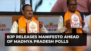 Madhya Pradesh polls 2023: BJP releases manifesto, promises free ration, education and LPG subsidy