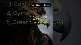 Top 5 Birds of Prey #birdsofprey #goldeneagle #harpyeagle #gyrfalcon #greathornedowl